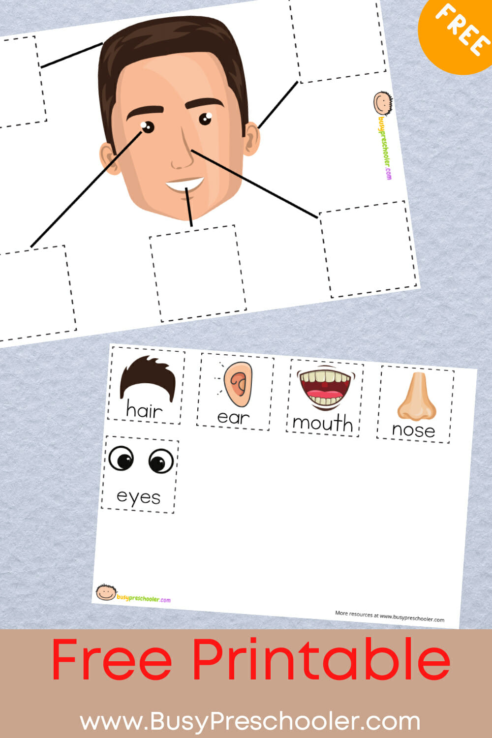 Match the Face Parts  Free Printable For Toddlers and Preschoolers Throughout Blank Face Template Preschool