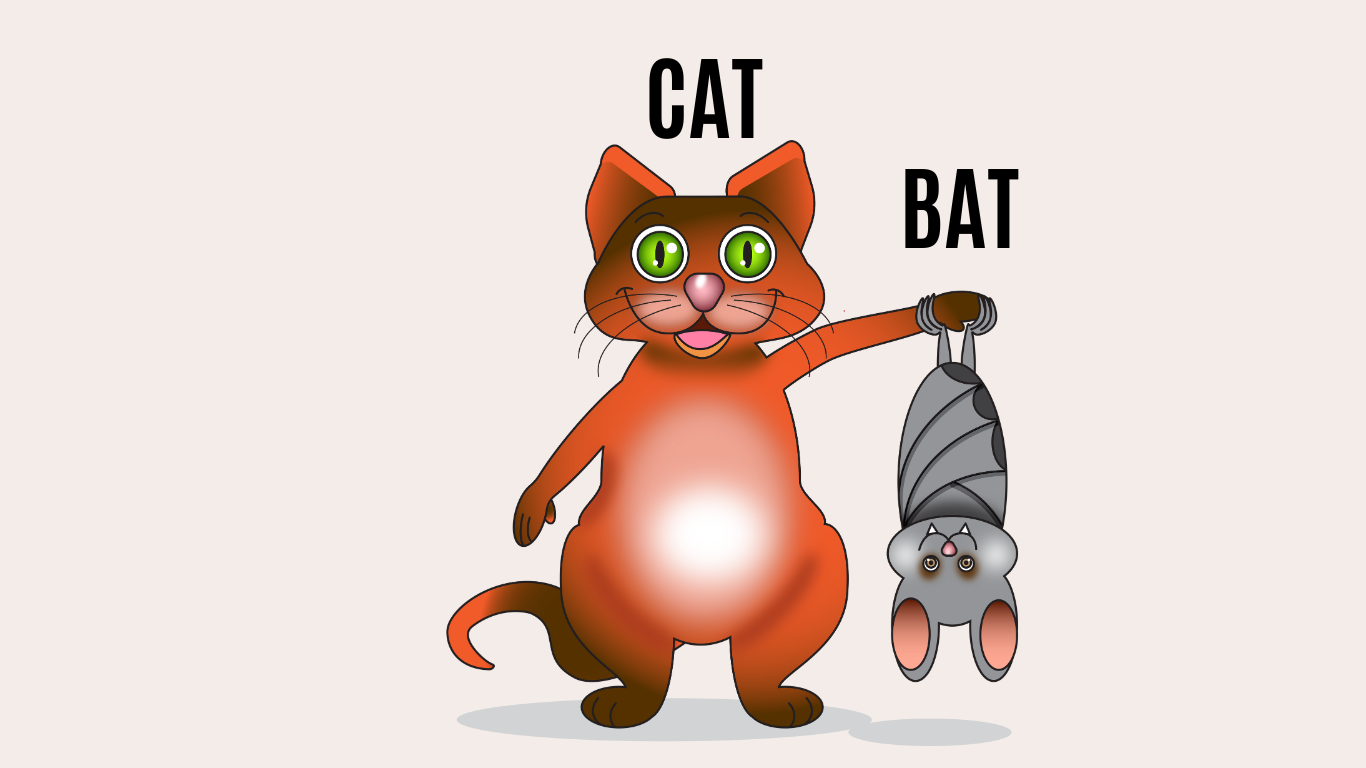 15 Incredible Rhyming Activities for Kindergarten