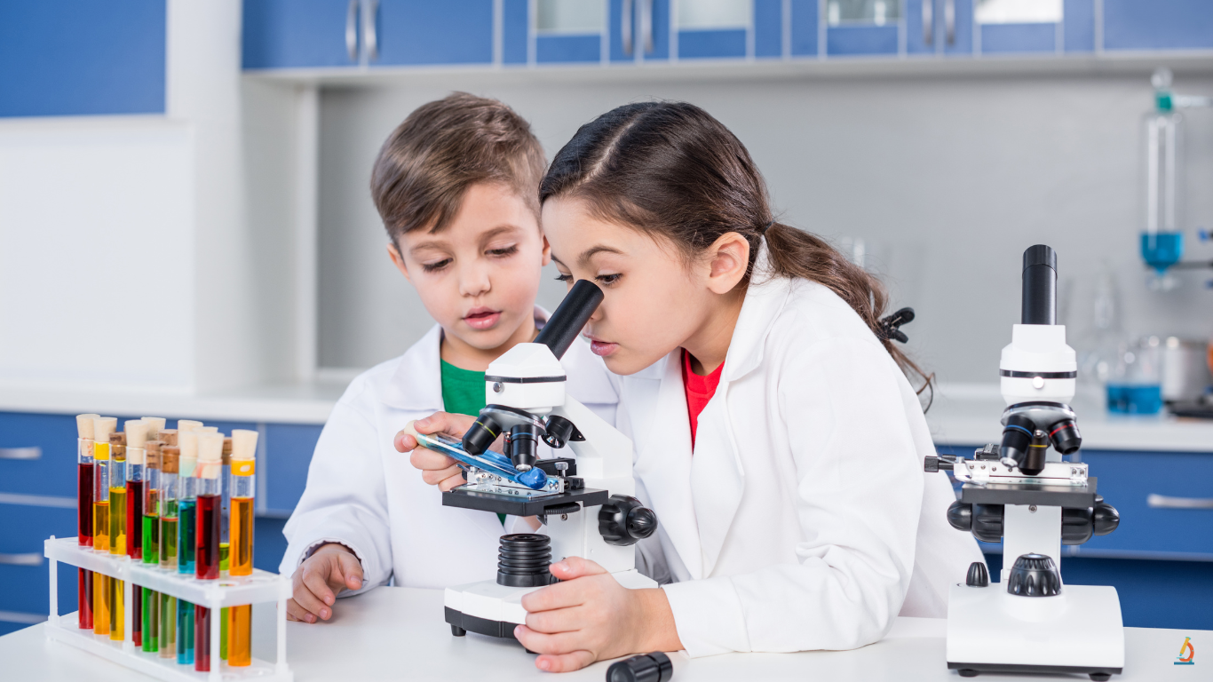 10 Microscopic World Activities for Kindergarten