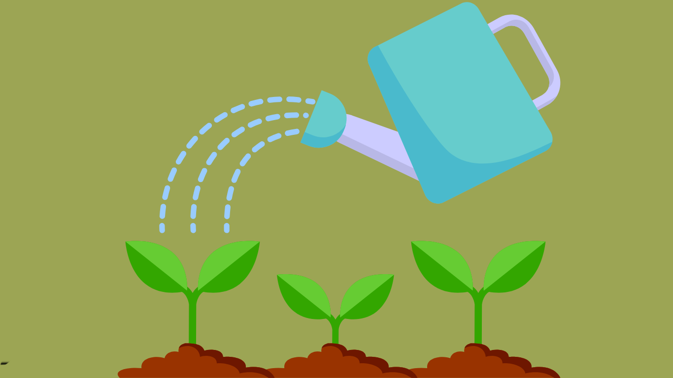 Growing Plant Activities for Kindergarten