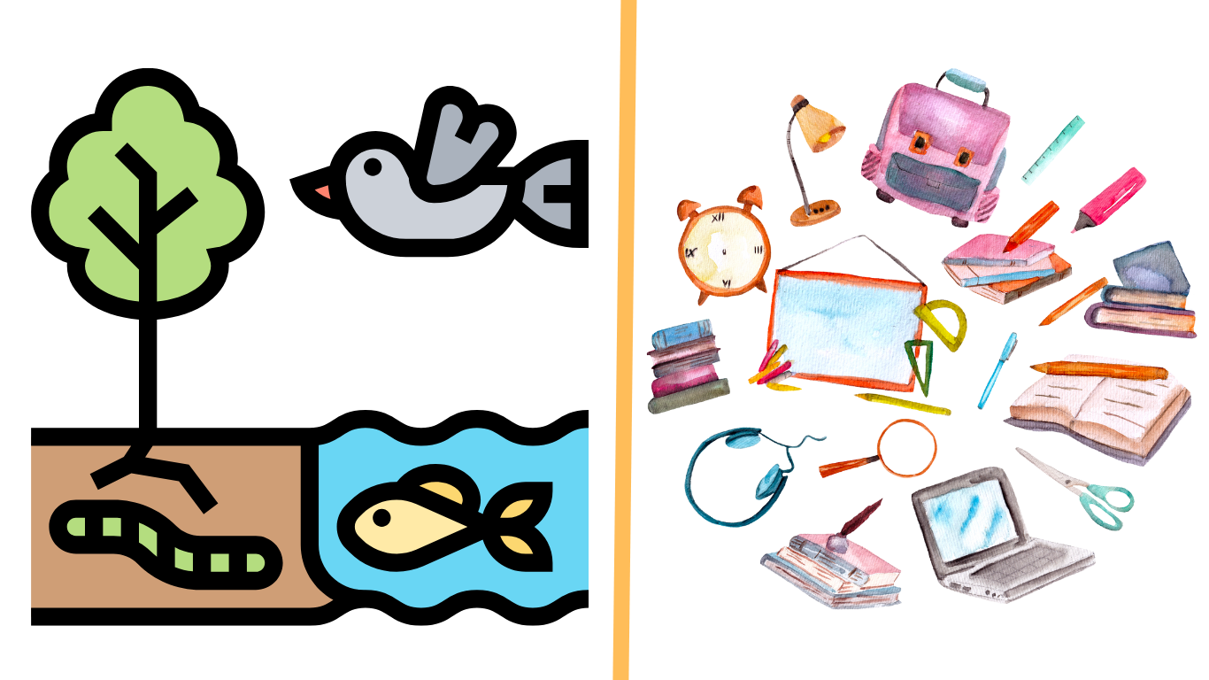 10 Living and Non-Living Things Kindergarten Activities