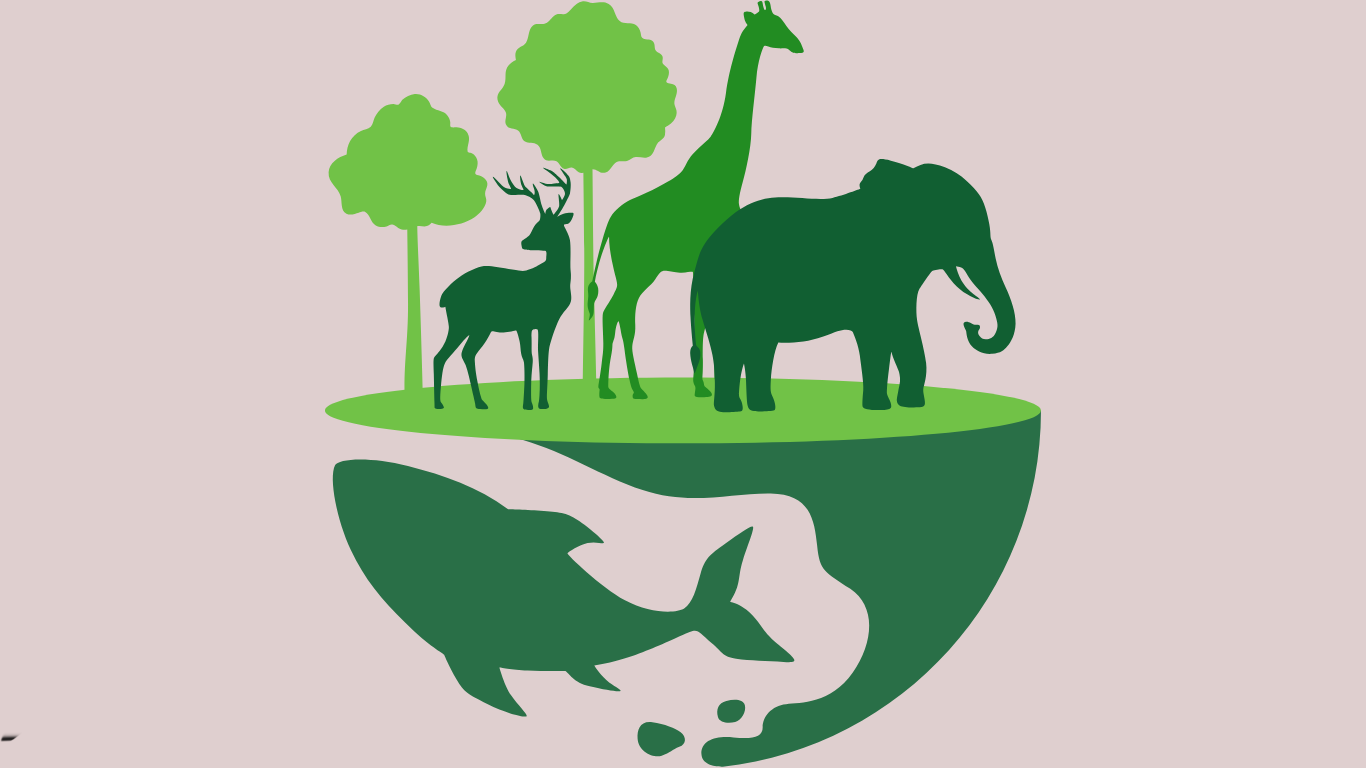 10 Habitats Around the World Activities for Kindergarten