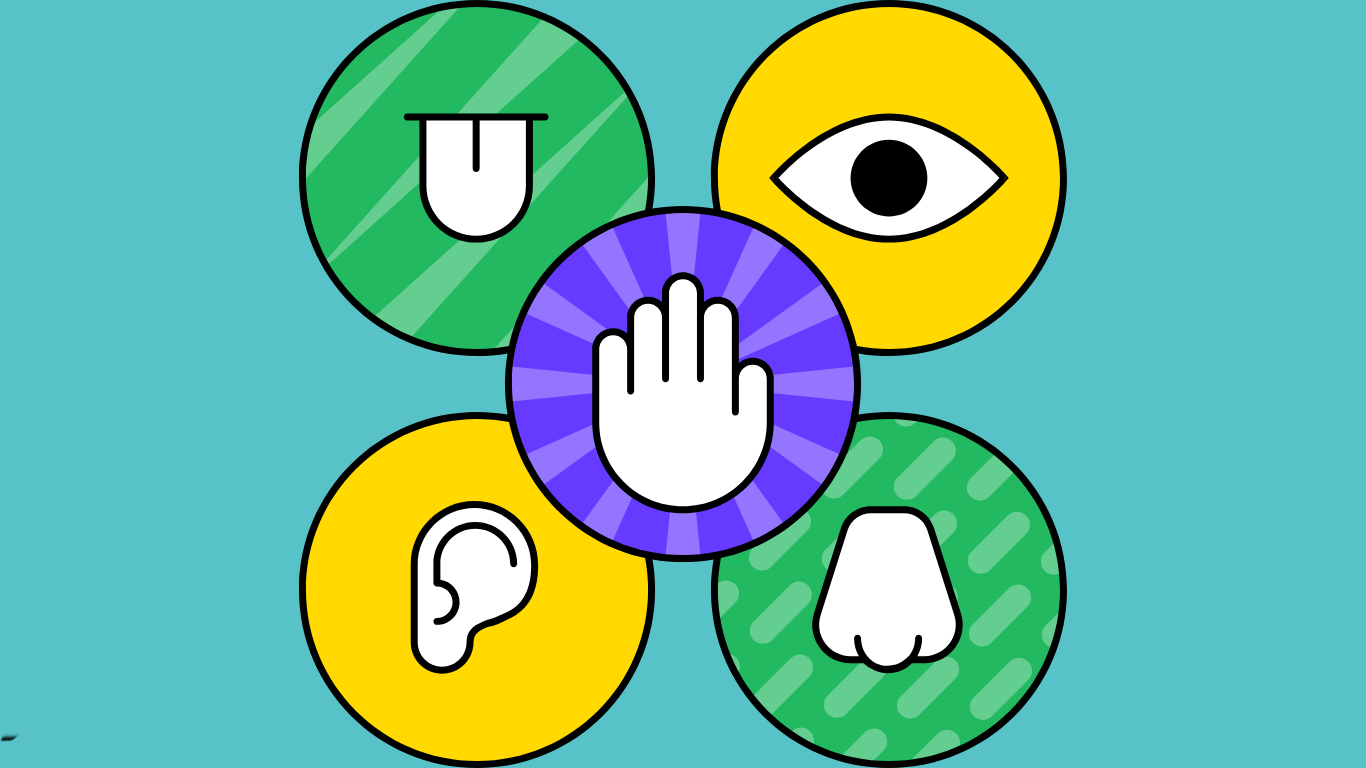 10 Engaging Five Senses Activities for Kindergarten